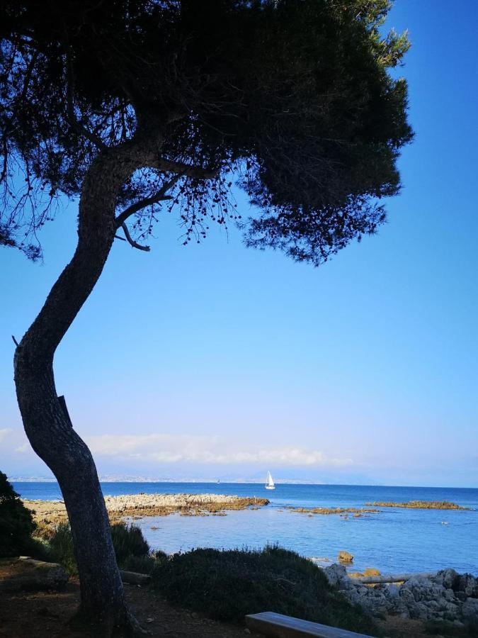 Suite Française Old Town Antibes Extérieur photo