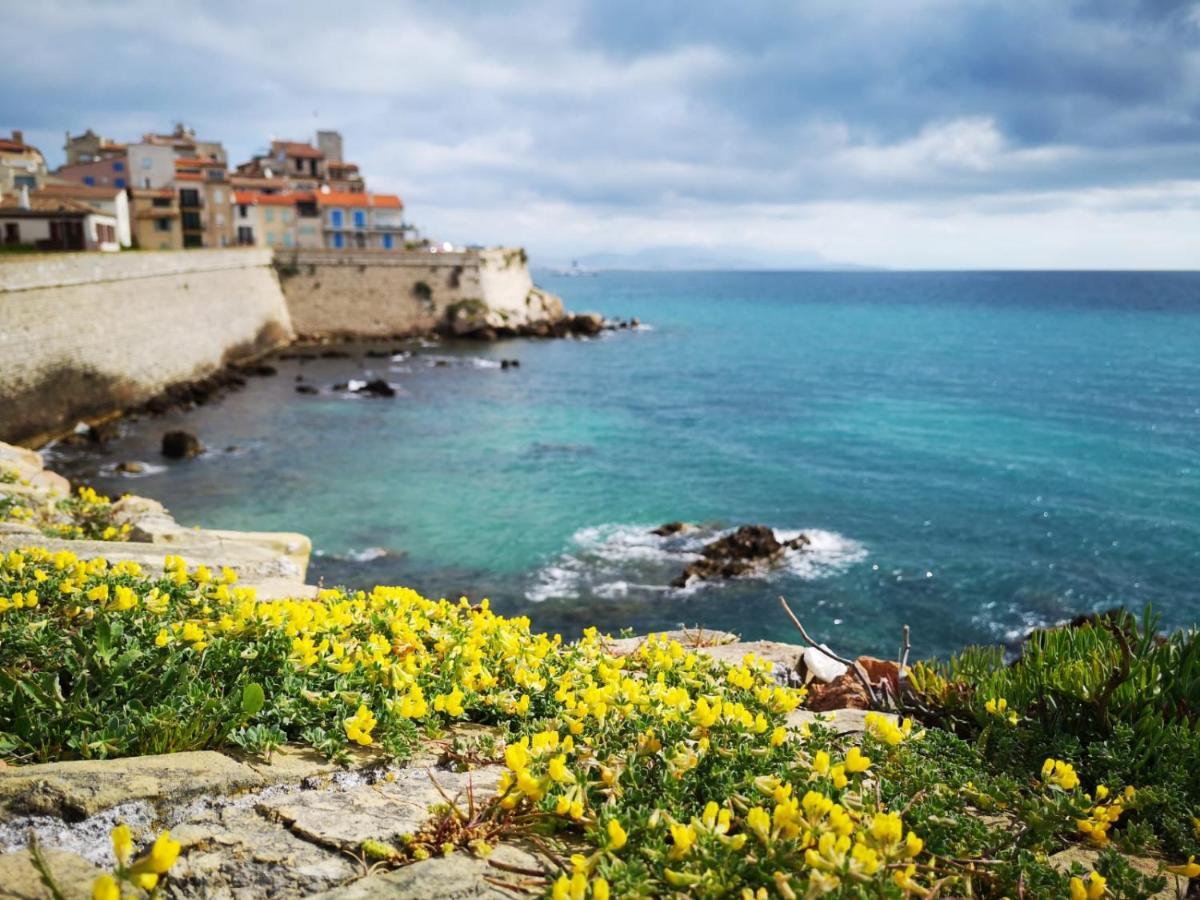 Suite Française Old Town Antibes Extérieur photo